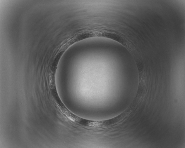 X0000085290139200703161500