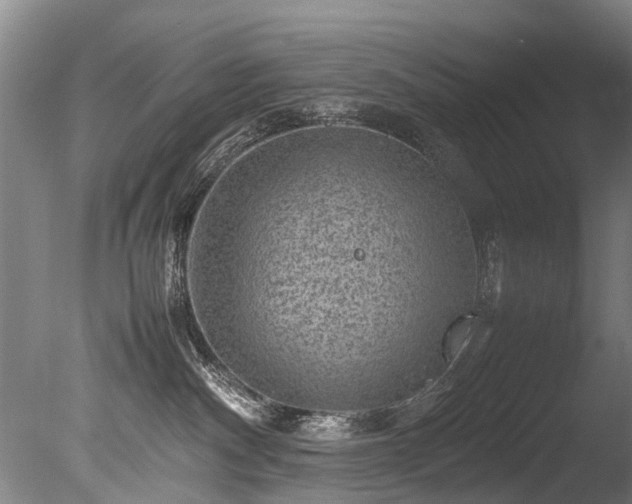 X0000085290140200703161500