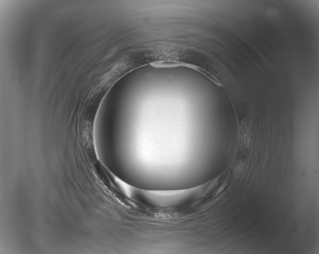 X0000085290141200703161500