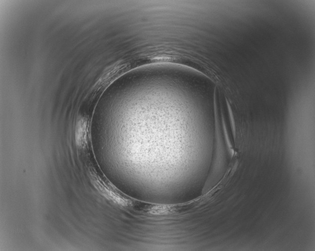 X0000085290142200703161500