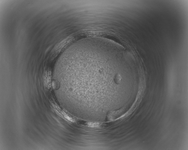 X0000085290144200703161500