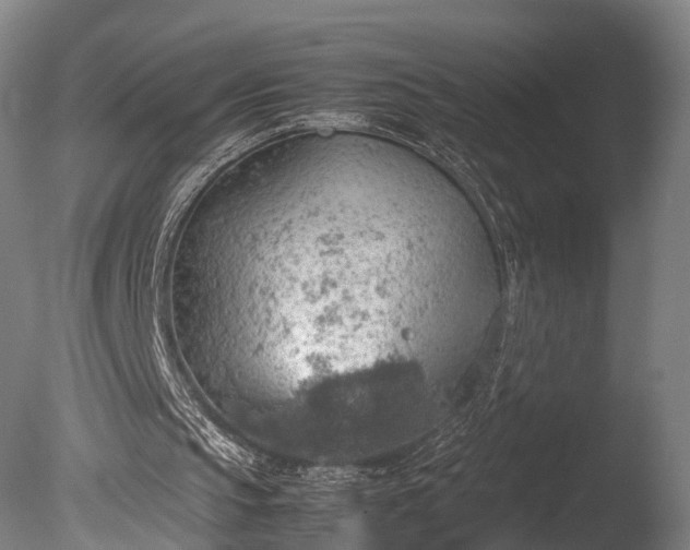 X0000085290145200703161459