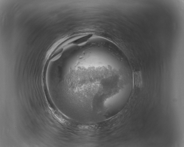 X0000085290147200703161459