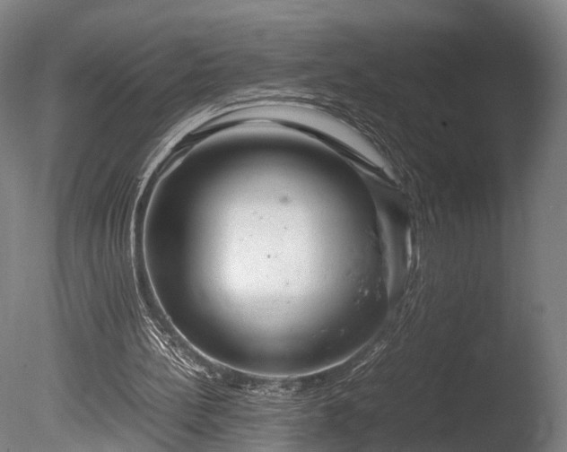 X0000085290148200703161459