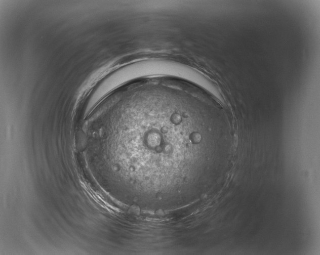 X0000085290149200703161459