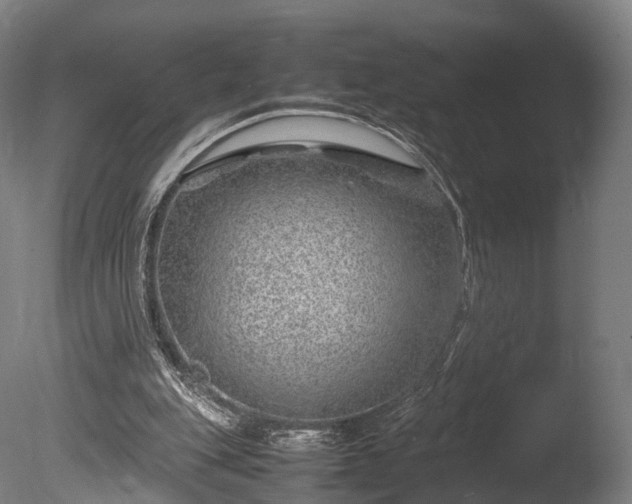 X0000085290151200703161459