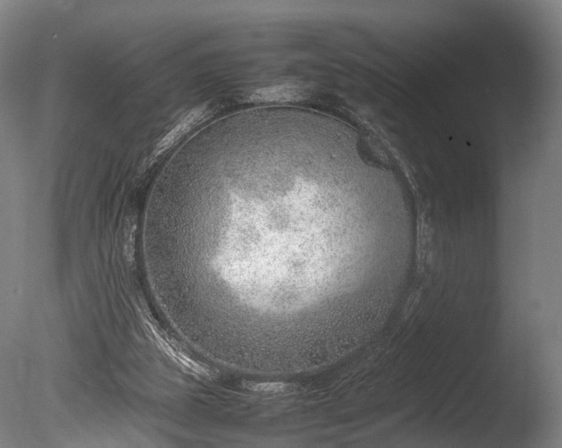 X0000085290153200703161459