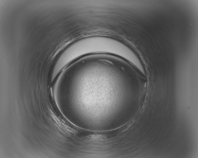 X0000085290154200703161459