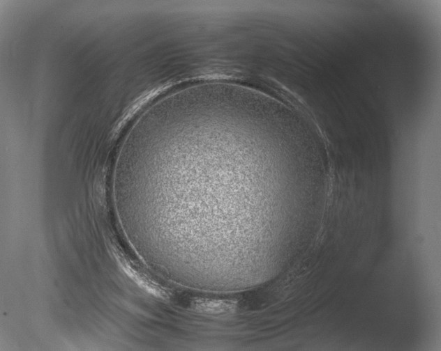 X0000085290155200703161459