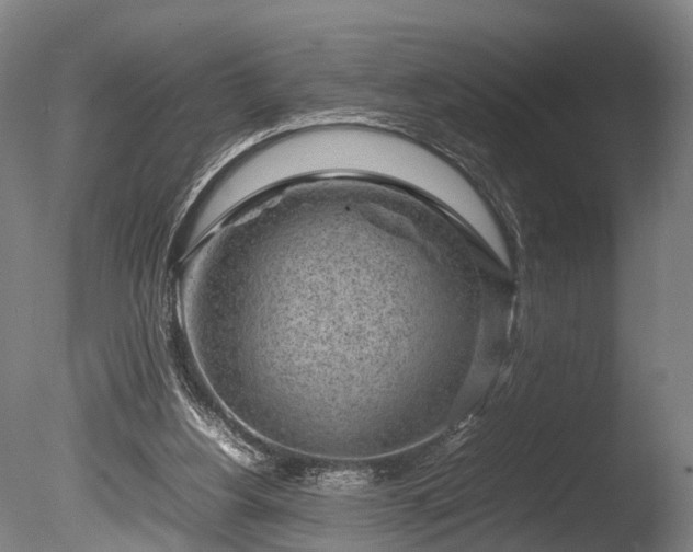 X0000085290156200703161459