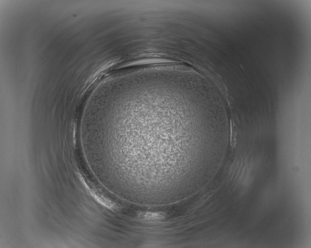 X0000085290157200703161459