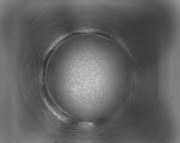 X0000085290159200703161459