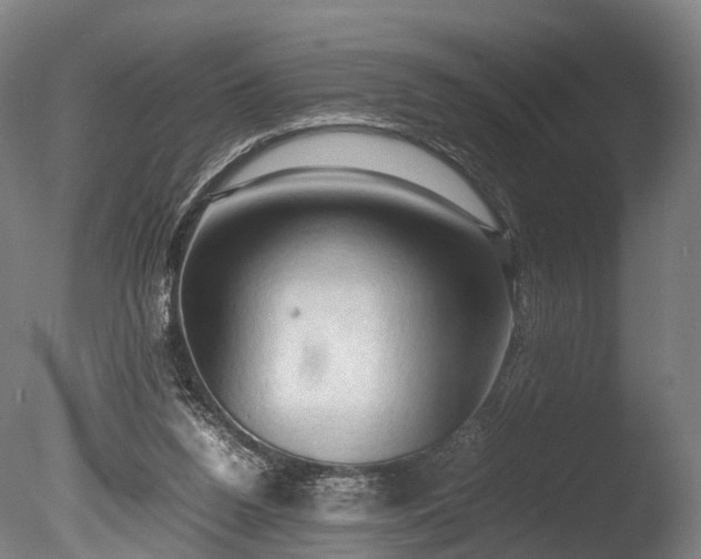 X0000085290160200703161459