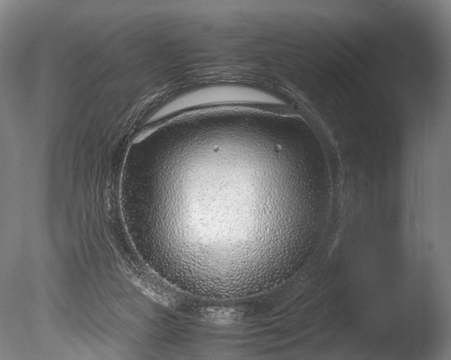 X0000085290161200703161459