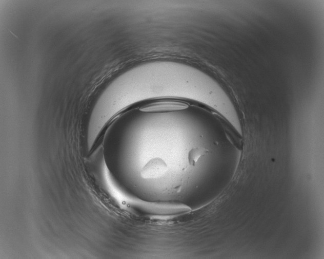 X0000085290162200703161459