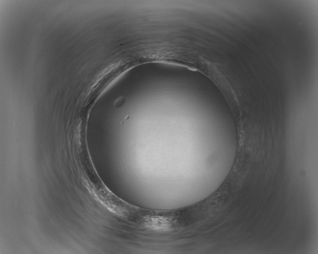 X0000085290163200703161459