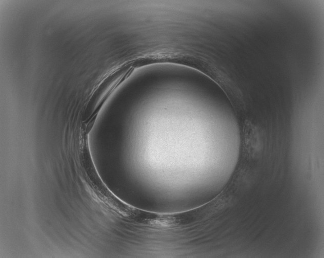 X0000085290164200703161459