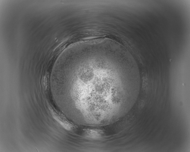 X0000085290165200703161459