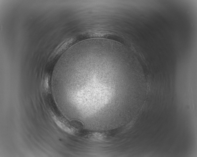 X0000085290166200703161459