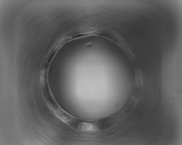 X0000085290167200703161459