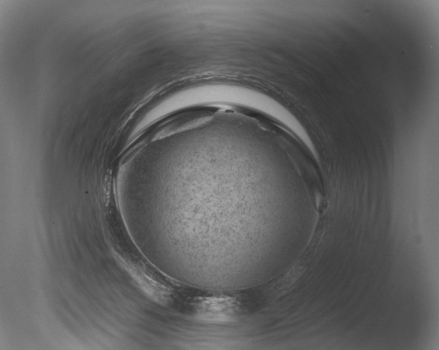 X0000085290168200703161459