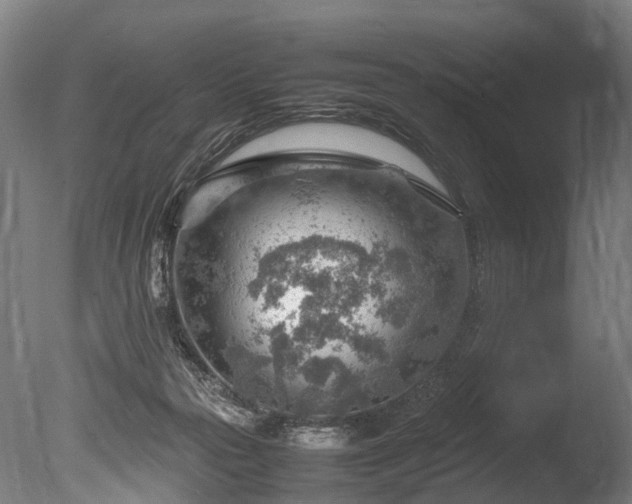 X0000085290169200703161459