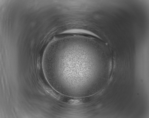 X0000085290170200703161459