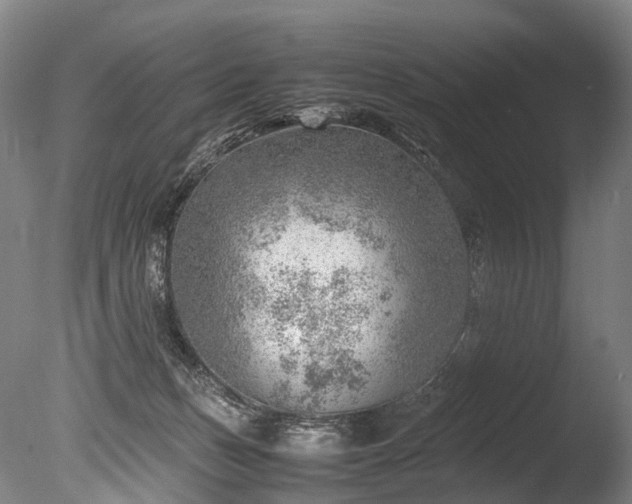 X0000085290175200703161500