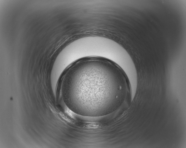 X0000085290176200703161500