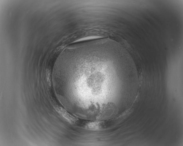 X0000085290178200703161500