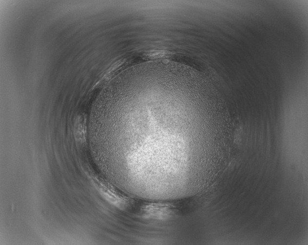 X0000085290179200703161500