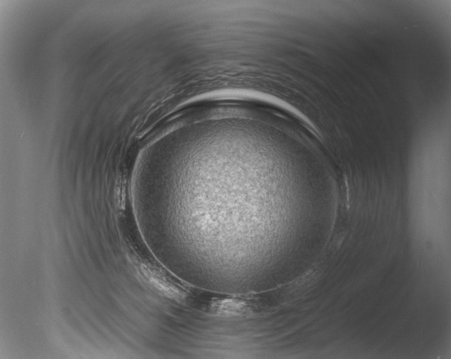 X0000085290180200703161500