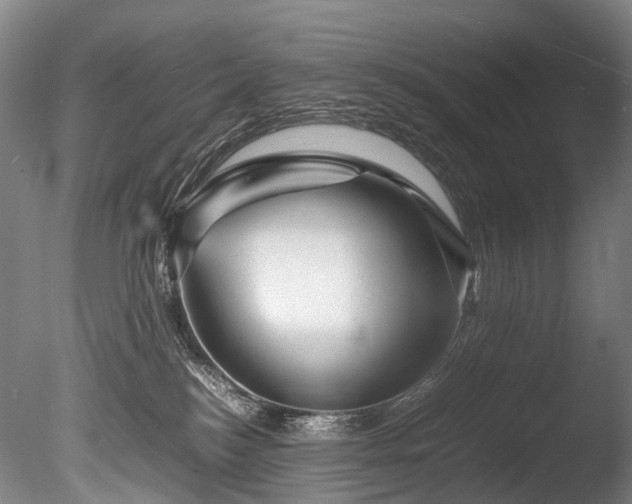 X0000085290184200703161500