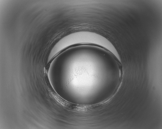 X0000085290190200703161500