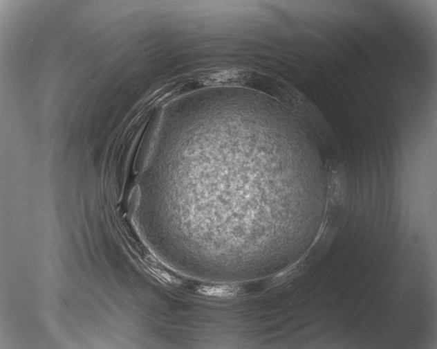 X0000085290191200703161500