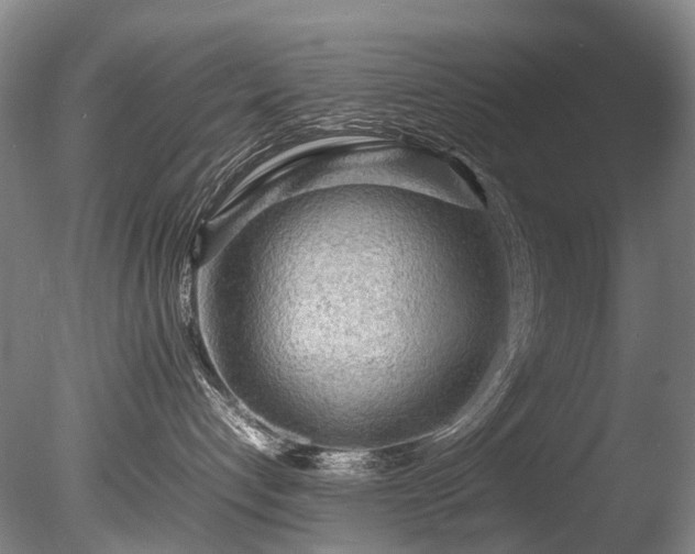 X0000085290192200703161500