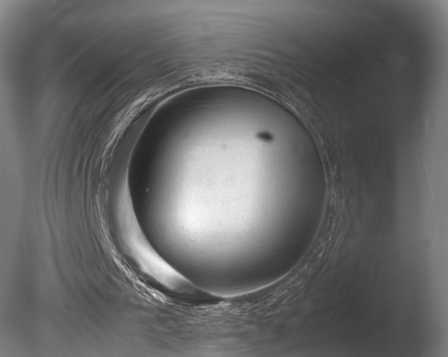 X0000085290193200703161459