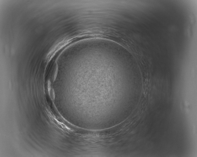 X0000085290194200703161459