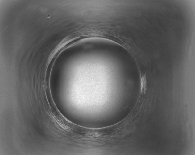 X0000085290195200703161459