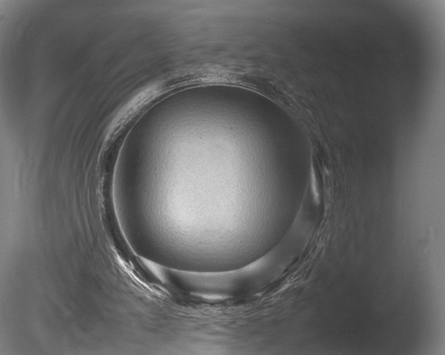 X0000085290197200703161459