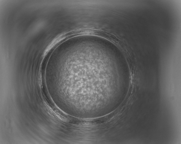 X0000085290198200703161459