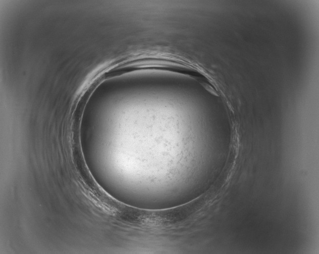 X0000085290199200703161459