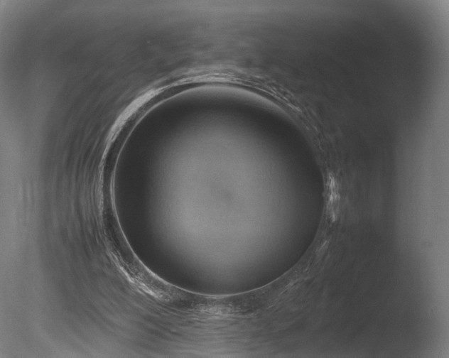 X0000085290200200703161459