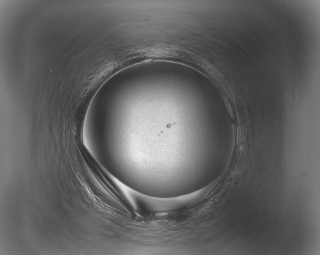 X0000085290201200703161459