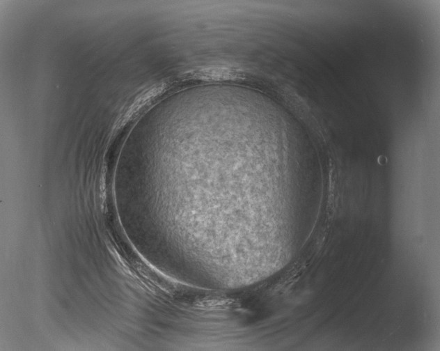 X0000085290202200703161459