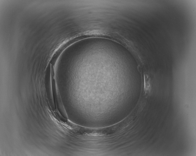 X0000085290204200703161459