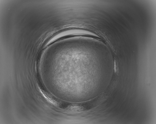 X0000085290205200703161459