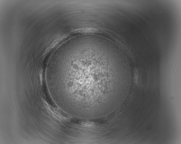 X0000085290206200703161459