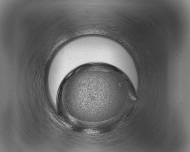 X0000085290207200703161459