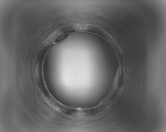 X0000085290209200703161459